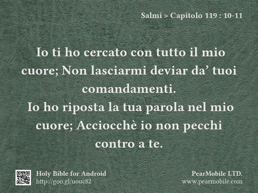 Salmi, Capitolo 119:10-11